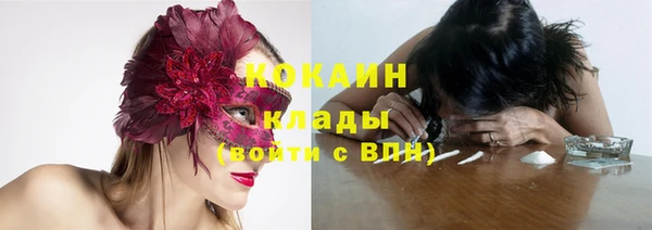 крисы Россошь