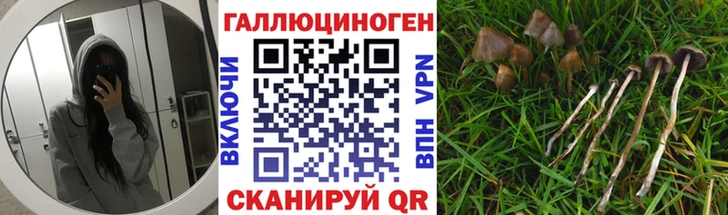 Галлюциногенные грибы мицелий  Купить где  Брюховецкая 